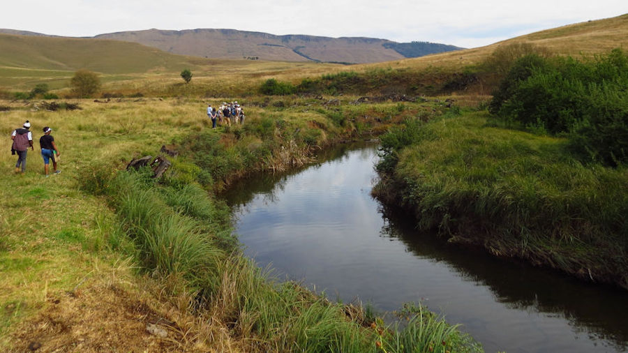 view of uMngeni river